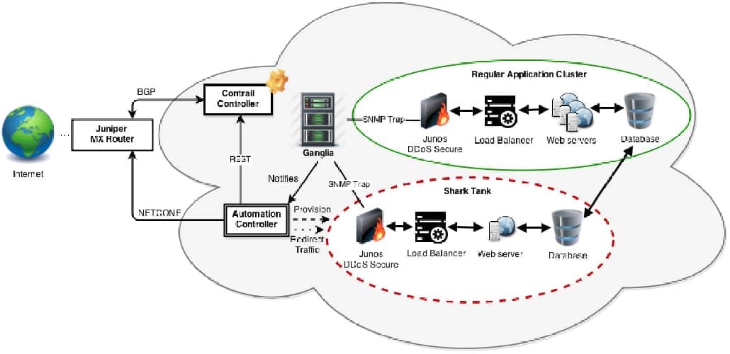 Tấn Công Low and Slow Ddos Là Gì?