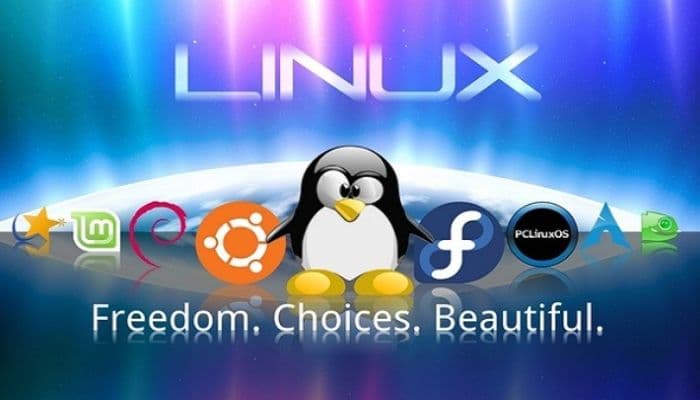 Mã Nguồn Linux Là Gì? Có Quan Trọng Hay Không?