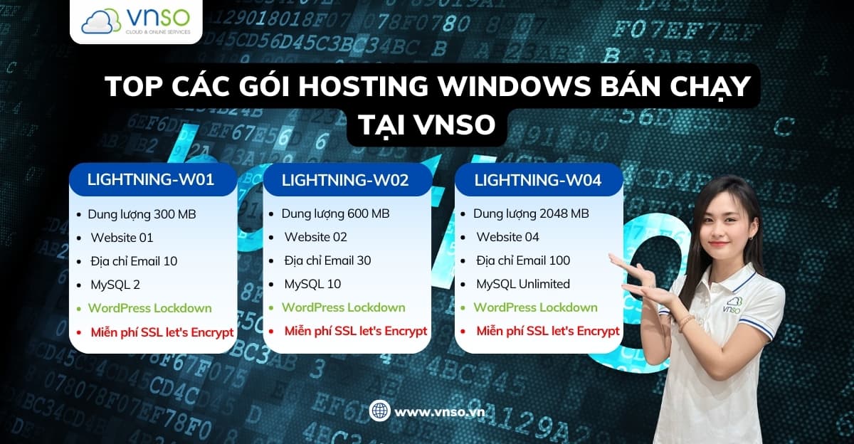 Top Các Gói Hosting Windows Bán Chạy Tại VNSO