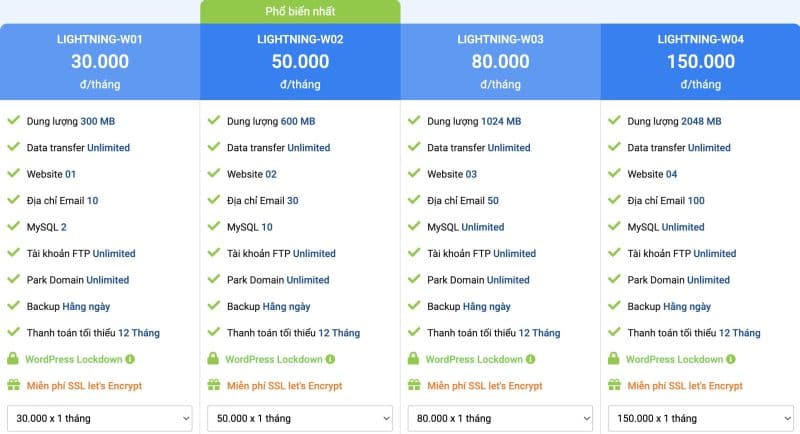 Top Các Gói Hosting Bán Chạy Tại VNSO